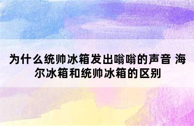 为什么统帅冰箱发出嗡嗡的声音 海尔冰箱和统帅冰箱的区别